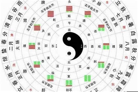 火多|八字中的五行火该如何理解 八字五行火旺的人忌讳什么